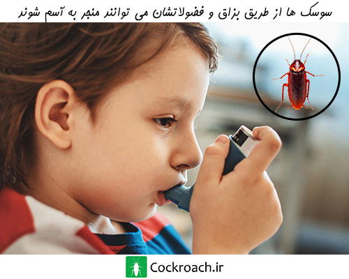 سوسکها یکی از دلایل شیوع آسم در کودکان هستند